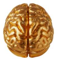 Golden human brain sculpture, cut out - stock . png