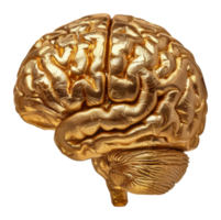 Golden human brain sculpture, cut out - stock . png