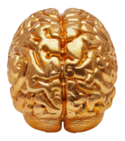 Golden human brain sculpture, cut out - stock . png
