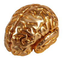 dourado humano cérebro escultura, cortar Fora - estoque . png