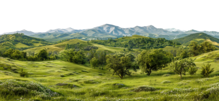 Panoramic view of meadow landscape with trees and hills, cut out - stock . png