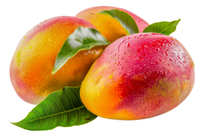 Fresh mango with dew drops and green leaf, cut out - stock . png