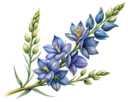 delphinium fleur grain illustration isolé sur blanc Contexte png