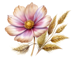 Cosmos Flower Grain Illustration Isolated on White Background png