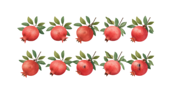 A Branch with Pomegranates and Leaves in Different Stages of Ripeness - Transparent Background png