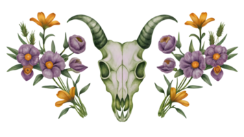 A Set of Flat Grunge Floral Goat Skulls Isolated on Transparent Background png
