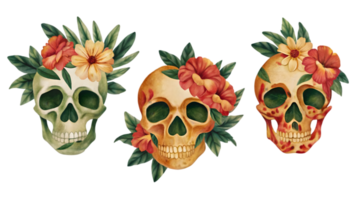 A Set of Flat Grunge Floral Skulls Isolated on Transparent Background png