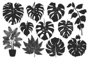 Silhouettes of Foliage Plant Species - Transparent Background png