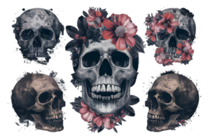 A Striking Collection of Gritty Floral Skull Collage Elements - Transparent Background png