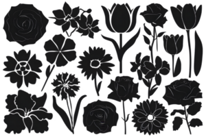 Silhouettes of Flowering Plant Species - Transparent Background png