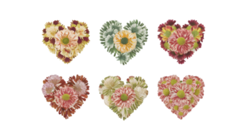 un conjunto de seis plano acuarela corazones hecho de flores - transparente antecedentes png