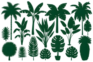 Silhouettes of Tropical Plant Species in Green - Transparent Background png