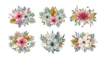 en uppsättning av vattenfärg blommig krans platt - transparent bakgrund png