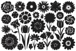 An Assortment of Flower Silhouettes Representing Different Species - Transparent Background png