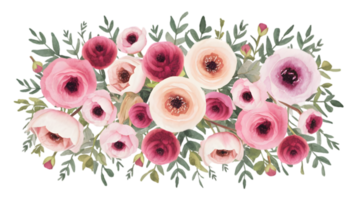 A Set of Watercolor Ranunculus Arrangements Flat - Transparent Background png