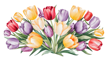 A Stunning Flat Illustration of a Set of Watercolor Flowers - Transparent Background png