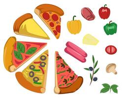 Colorful Pizza Ingredients Illustrations vector