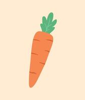 Zanahoria vegetal icono plano diseño ilustración vector