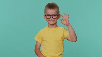 Little toddler children boy looking approvingly, showing Ok gesture, like sign positive, approve video