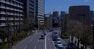 kers bloesem Bij yasukuni straat in tokyo dag video