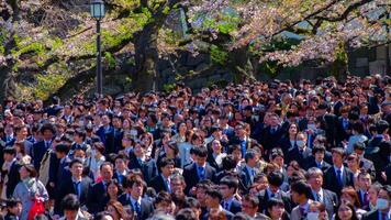 un lapso de tiempo de el multitudes con Cereza arboles a kudanshita calle en tokio en primavera largo Disparo inclinación video