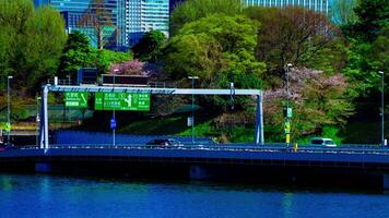 ein Zeitraffer von chidorigafuchi Teich mit Kirsche Bäume im Tokyo im Frühling lange Schuss Neigung video