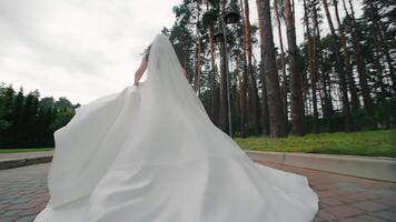 een bruid loopt naar beneden een park steeg Aan haar bruiloft dag. een bruid wie is laat voor haar bruiloft. een charmant bruid jurk dat stijgt van de snel beweging. video