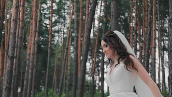 un' bellissimo sposa balli vicino il foresta, gira in giro se stessa nel un' bianca vestito video