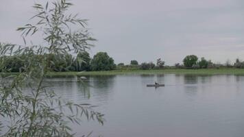 pêcheur flottant dans le distance sur une Lac dans campagne, paisible paysage. video