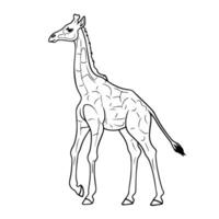 Chic outline icon of a giraffe in, perfect for wildlife designs. vector