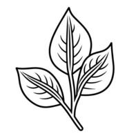 Elegant outline icon of a leaf in, perfect for nature-themed designs. vector