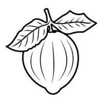 Elegant outline icon of a hazelnut for culinary designs. vector