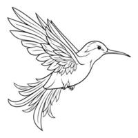 Elegant outline of hummingbird icon for graceful designs. Symbol of agility. vector