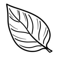 outline icon featuring a leaf, perfect for diverse designs. vector