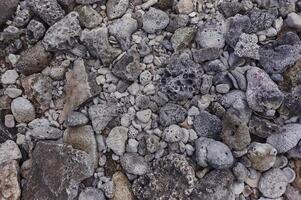 Texture of porous fossil stones photo