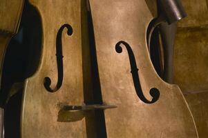 Detail of a violin photo