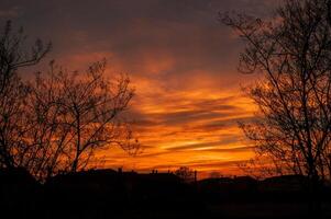 Red sunset in the countryside photo