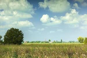 Summer countryside landscape photo