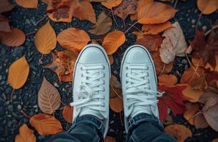 Person Standing on Top of Pile of Leaves photo