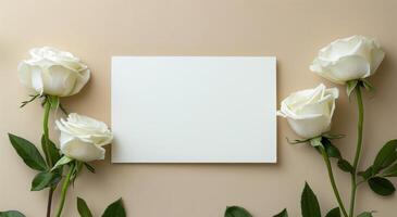 Group of White Bottles, Candles, and Flowers on White Background photo