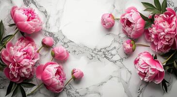 Pink Peonies on a Marble Background photo