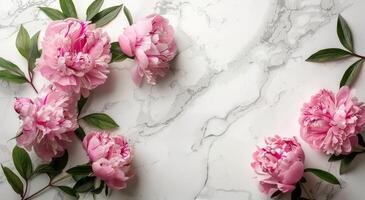 Pink Peonies on a Marble Background photo