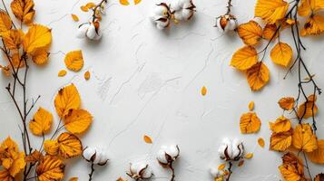 Autumn Leaves Arranged in a Circle photo