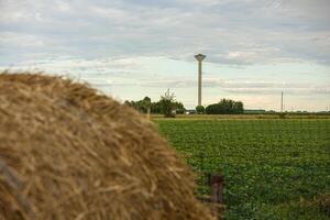 Italian countryside landscape with hay bale photo