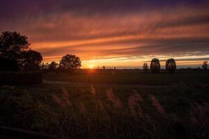 Golden sunset countryside panorama photo