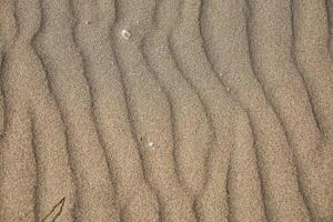 textura de arena nivelado por el viento 12 foto