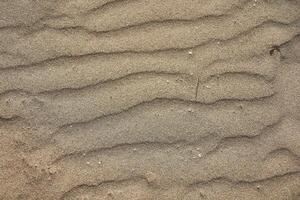 textura de arena nivelado por el viento 11 foto