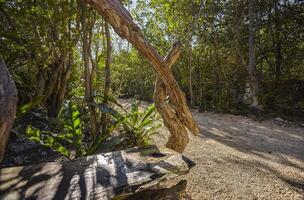 Cenote Azul in Mexico 12 photo