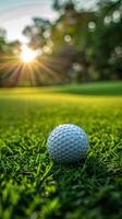 Golf Ball Resting on Lush Green Field photo