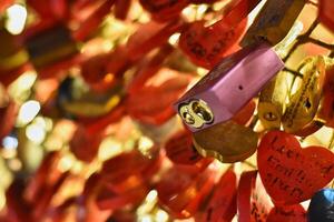 Padlocks of love 5 photo